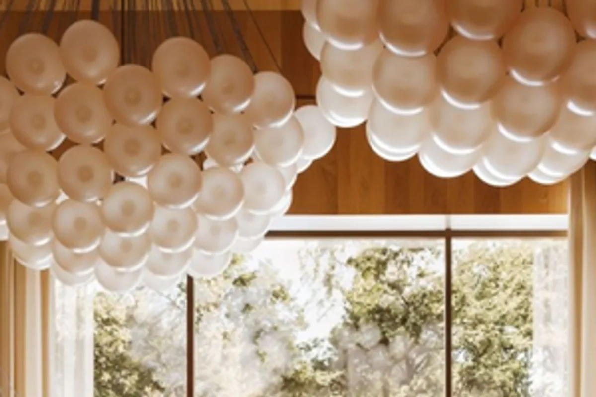 Pearl pendant lights, the timber wall and the trees in the window, enlarged 4× with no AI.